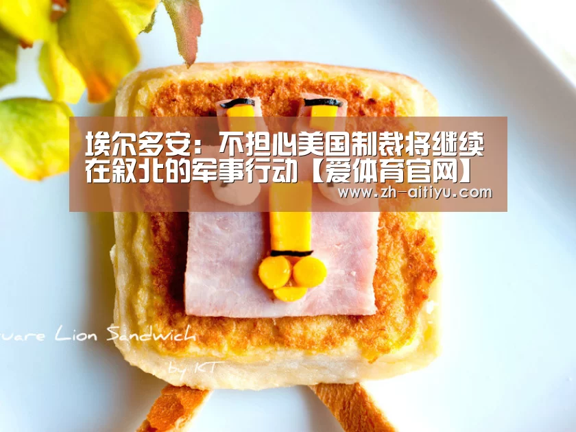 埃尔多安:不担心美国制裁将继续在叙北的军事行动【爱体育官网】(图3) 爱体育游戏