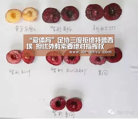 “爱体育”足协三度拒绝特鲁西埃 担忧外教索要绝对指挥权